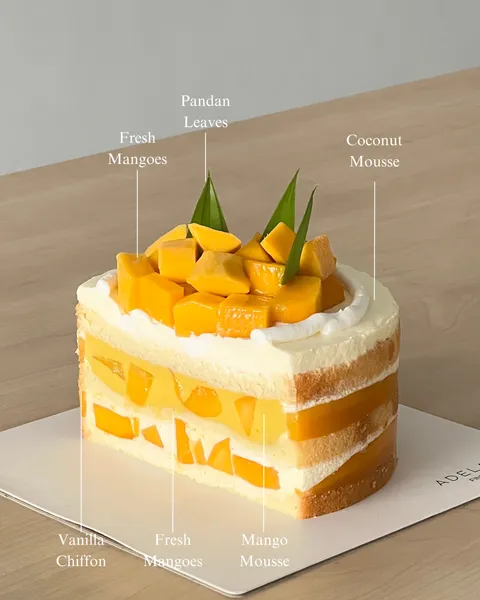 Mango Coconut (Slice)