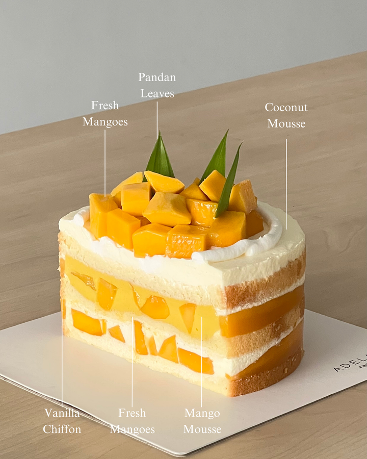 Mango Coconut (Slice)
