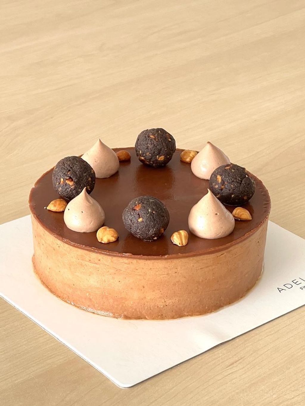 WhatsApp Image 2026-02-24 at 10.17.23 AM