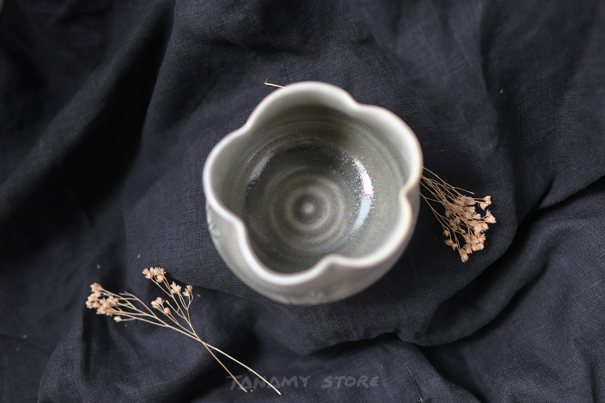 cactusflower-3