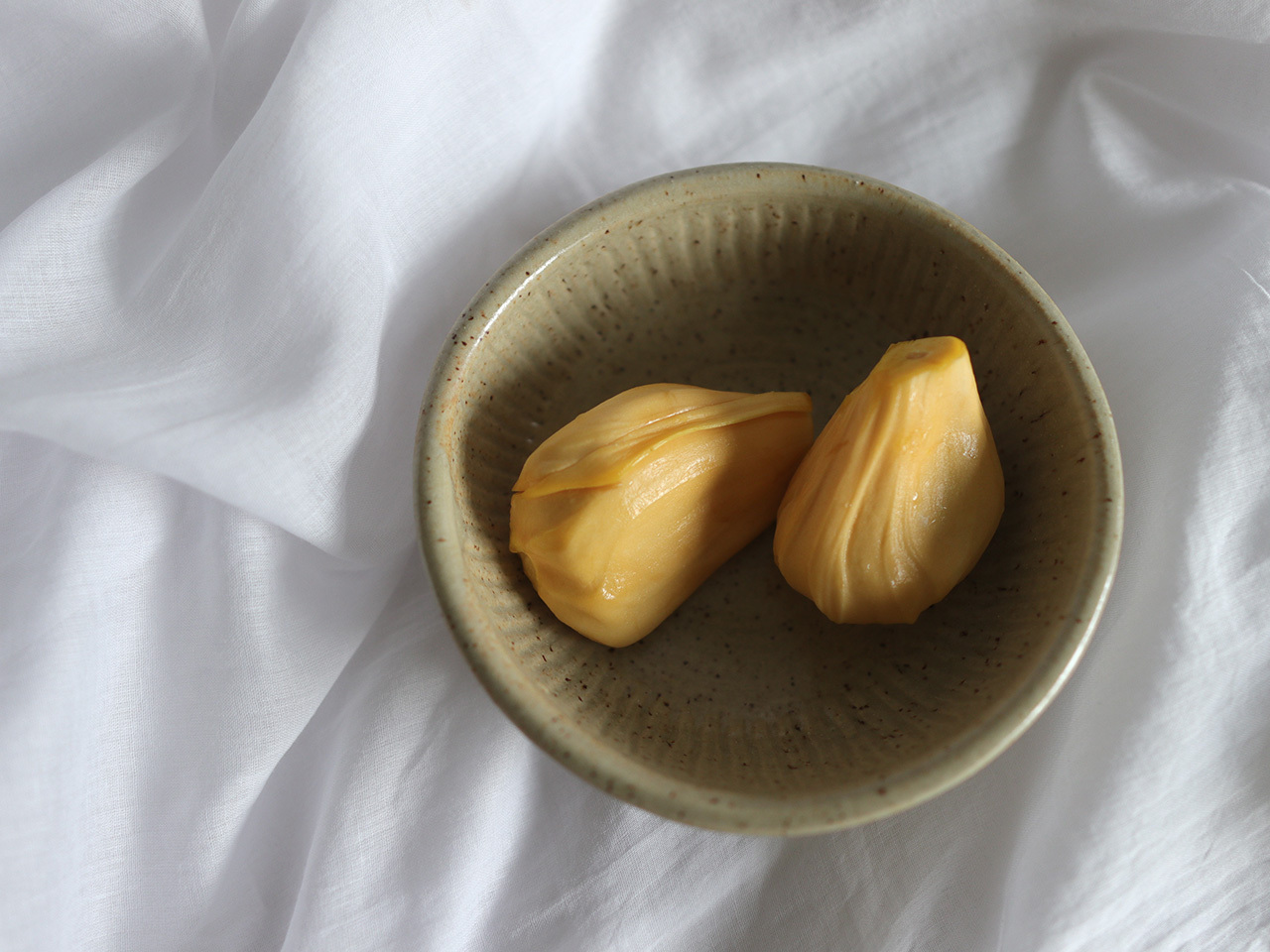 shallowdish-4