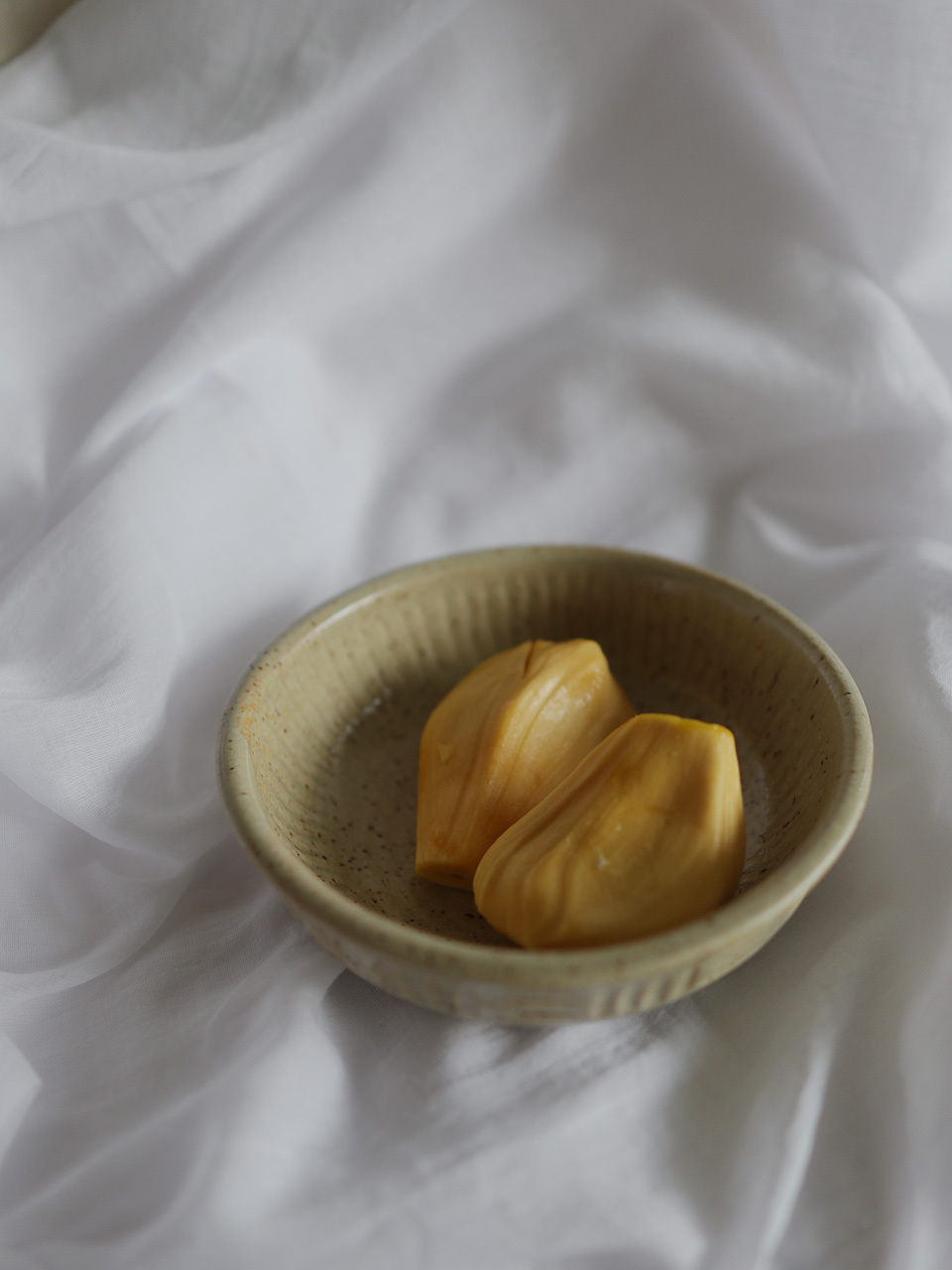 shallowdish-1