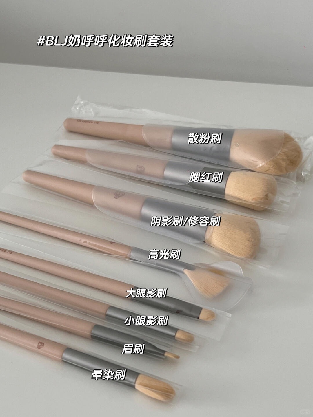 🇲🇾化妆刷的内卷程度已经到这样了吗_1_爱美的猪猪_来自小红书网页版