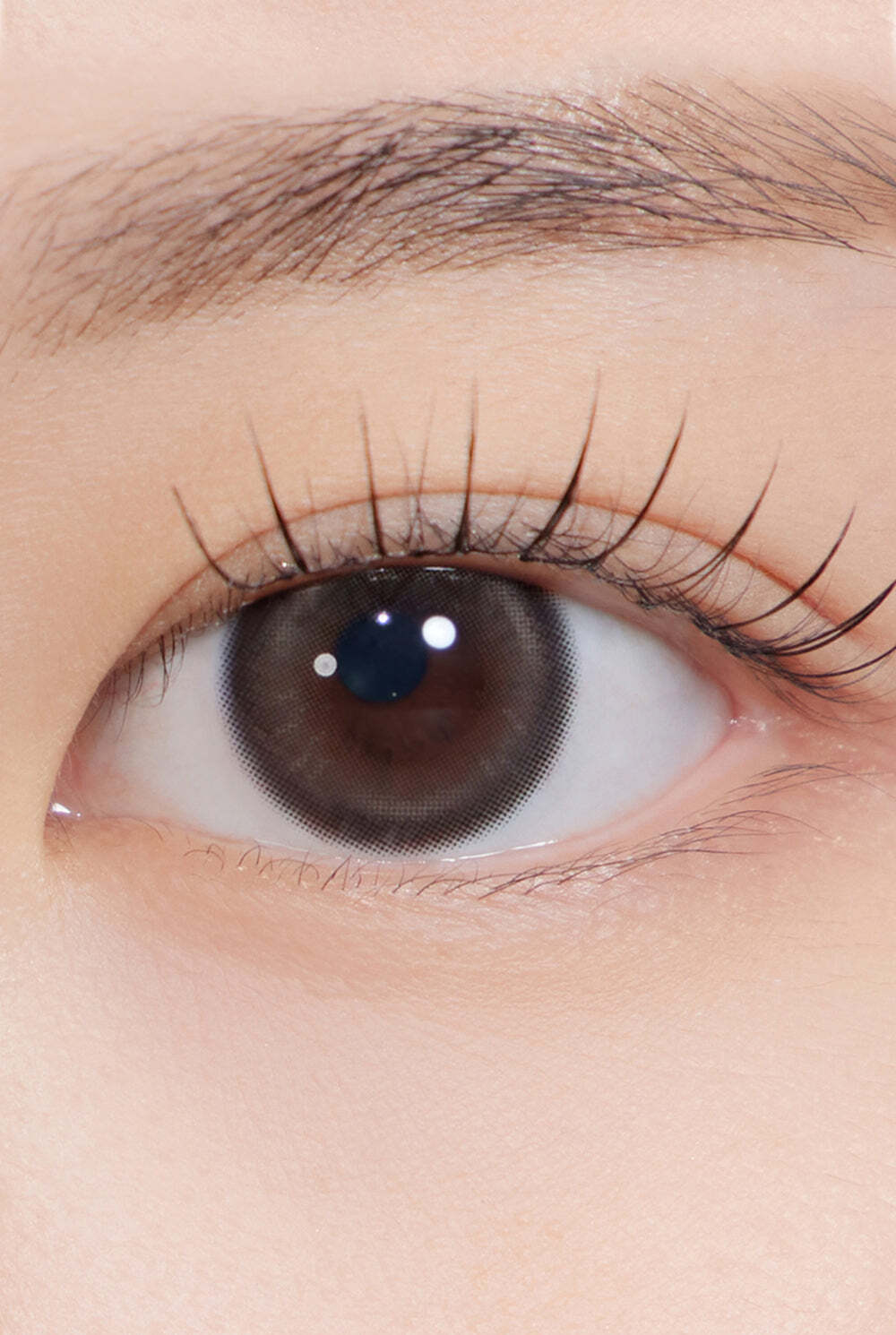 BeanKristin13.2_shortbrown