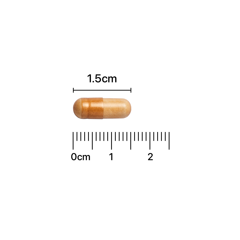 A00000024855103ko.png