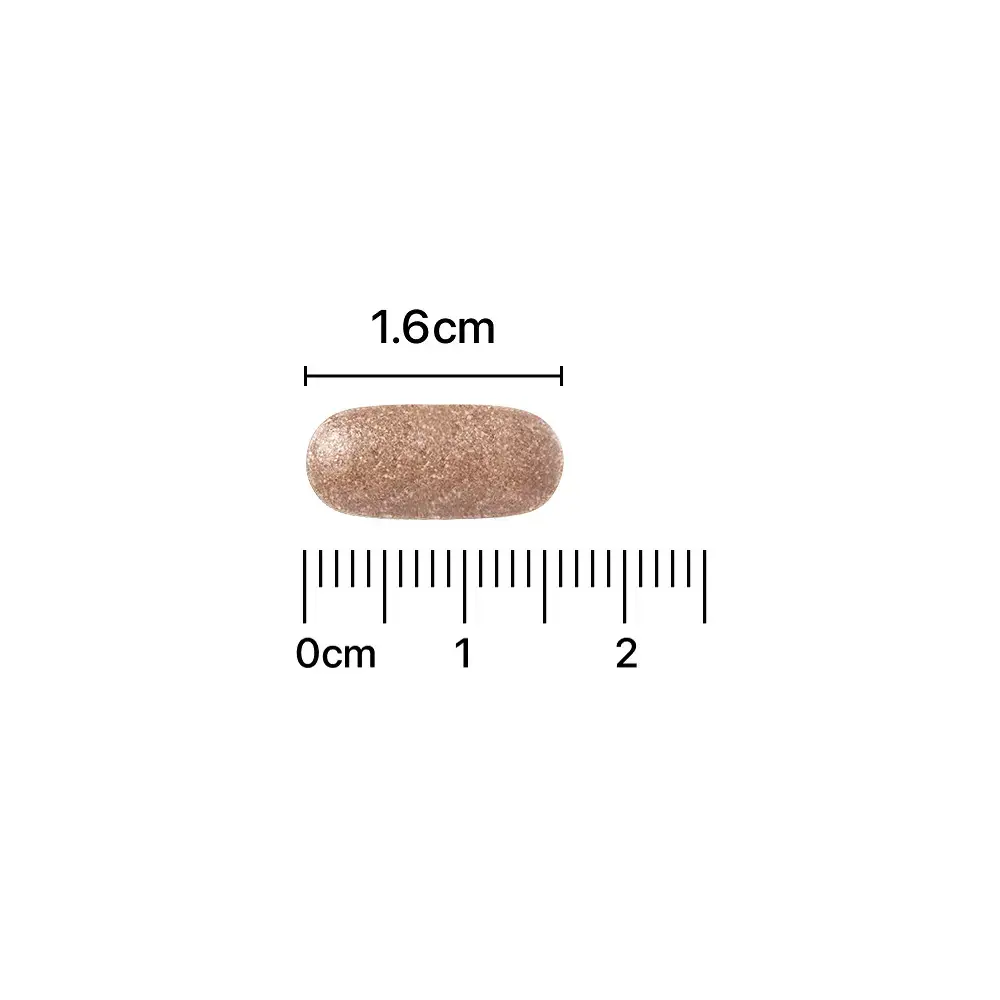 A00000024846211ko.jpg