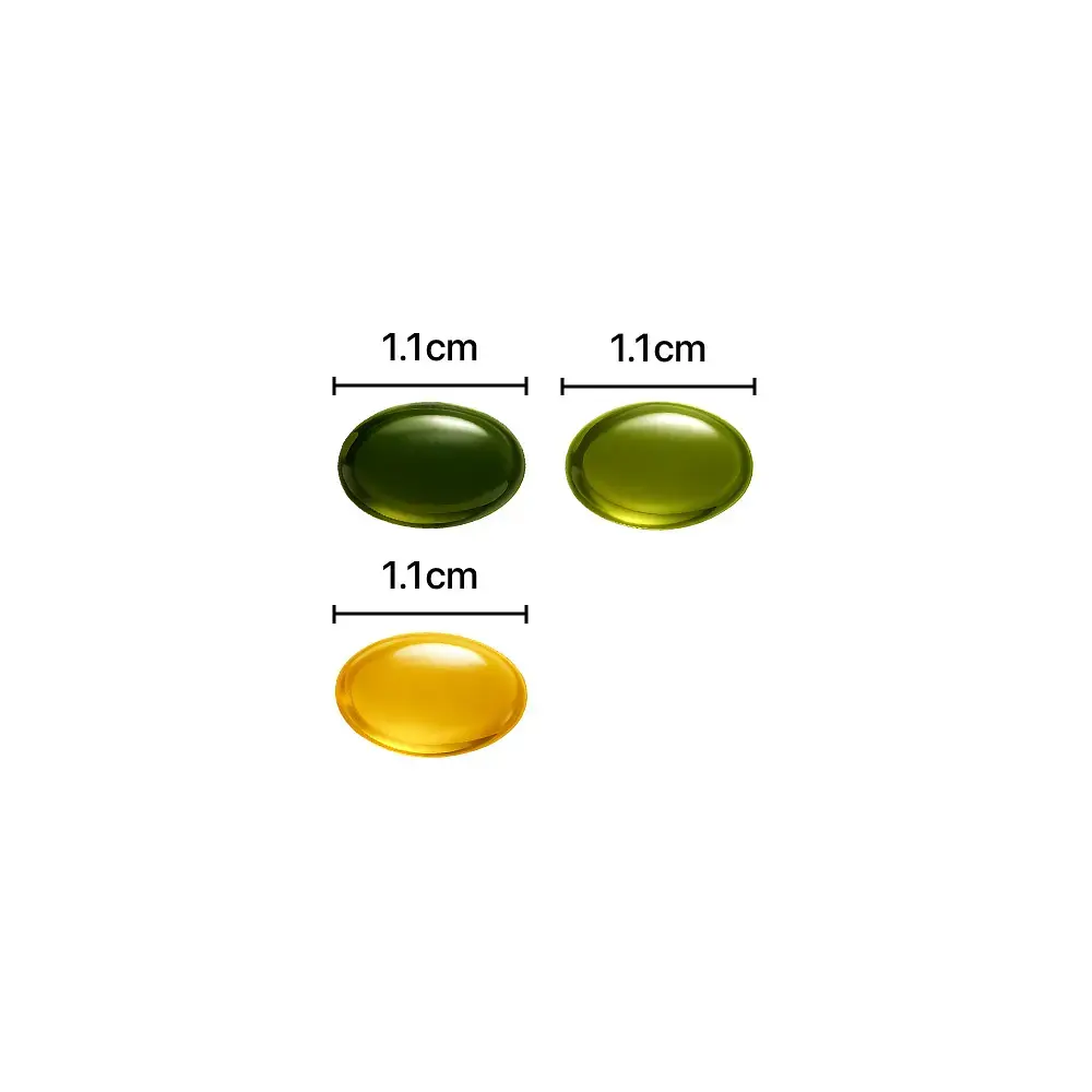 A00000025978402ko