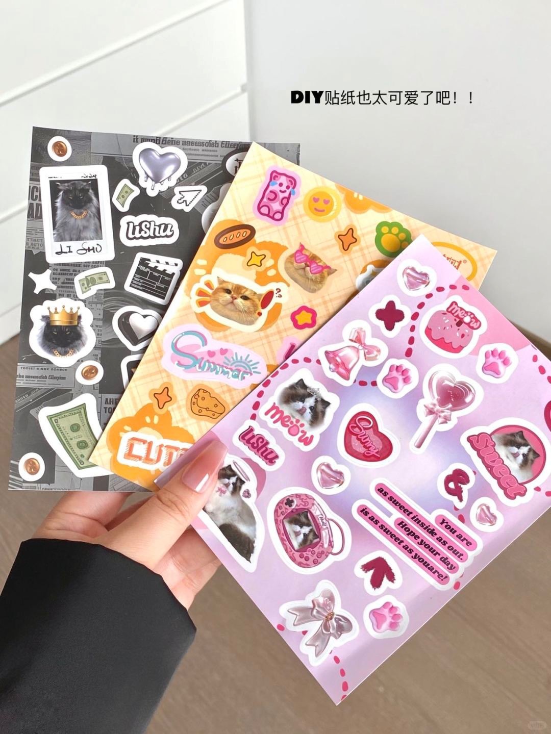 🐈‍⬛猫系假睫毛！可爱猫猫电眼出击_3_荔树_来自小红书网页版