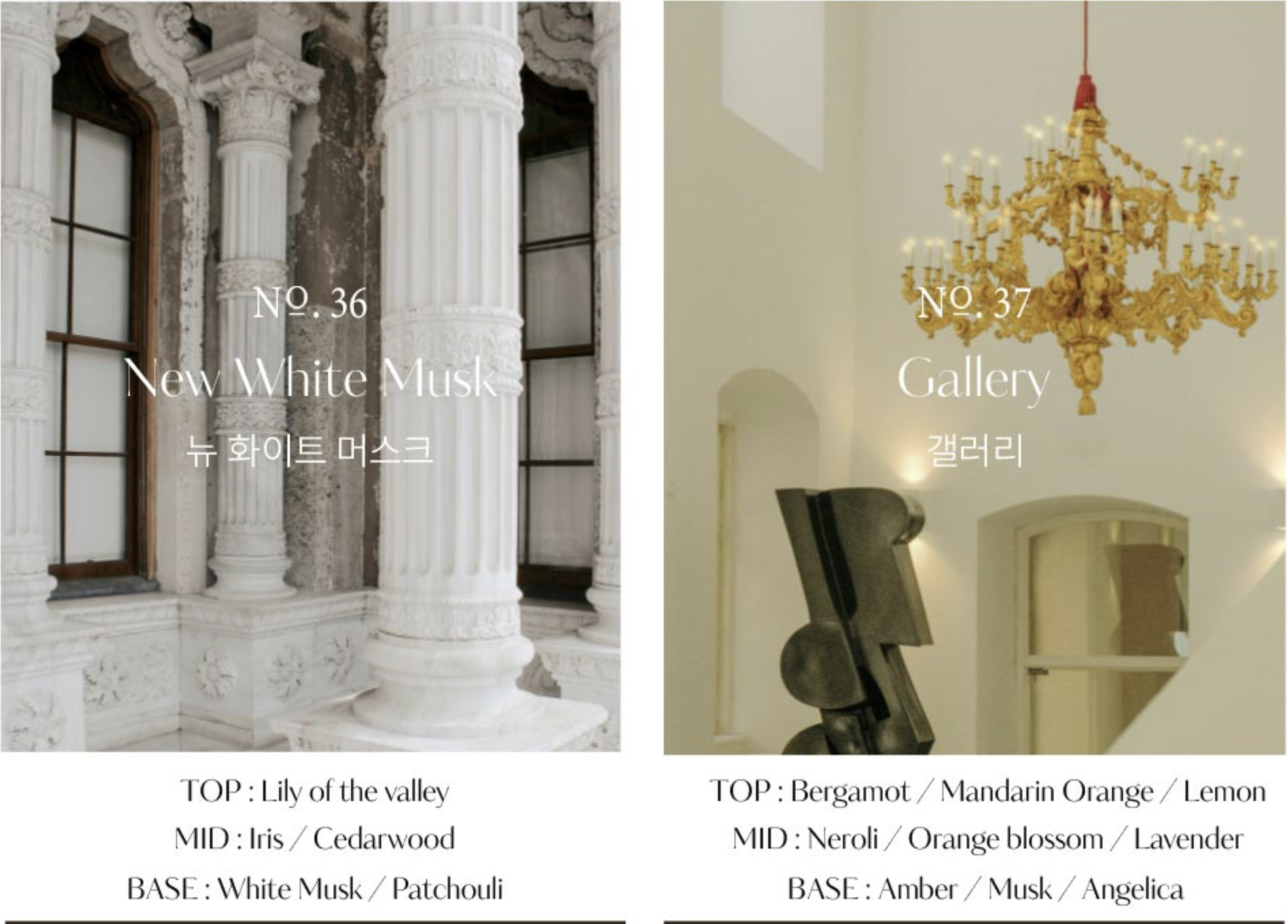 Screenshot 2025-10-27 at 10.13.08 PM