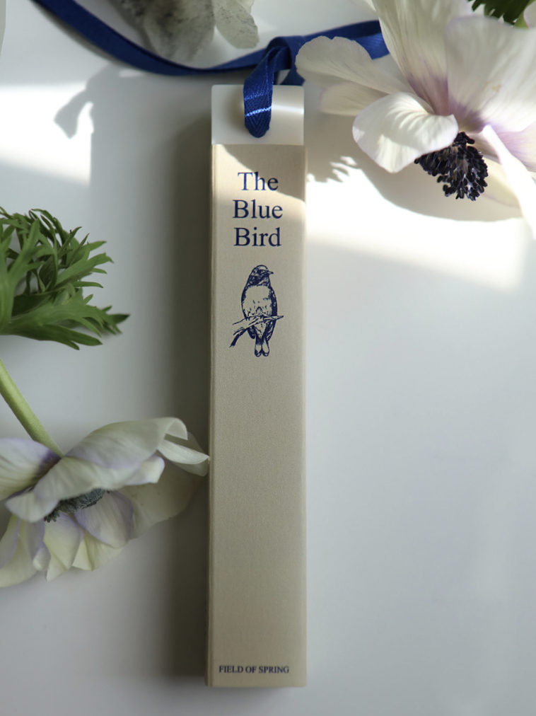 Screenshot 2026-01-01 at 6.02.12 PM