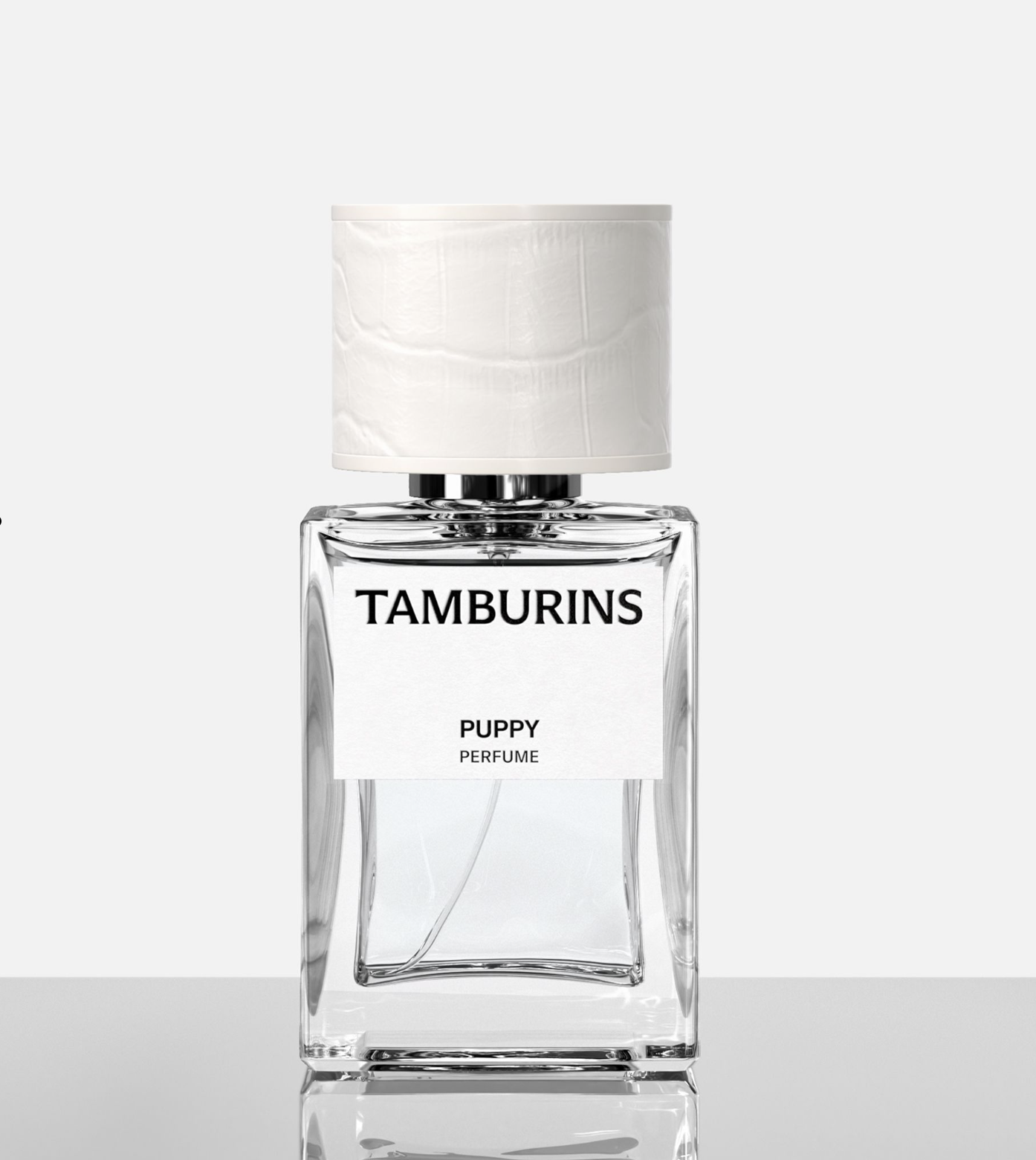 Screenshot 2026-01-03 at 5.54.36 PM