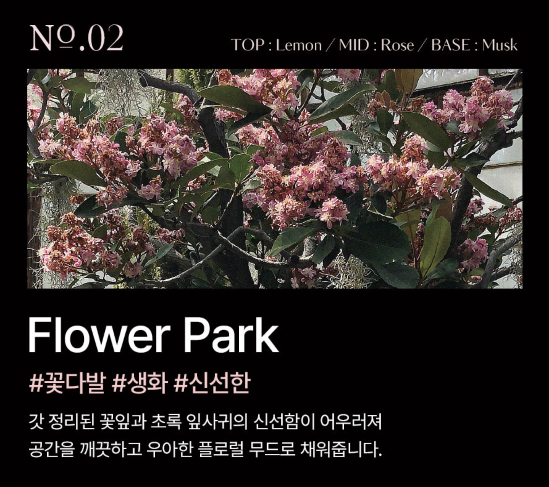 Screenshot 2026-02-27 at 8.20.12 PM