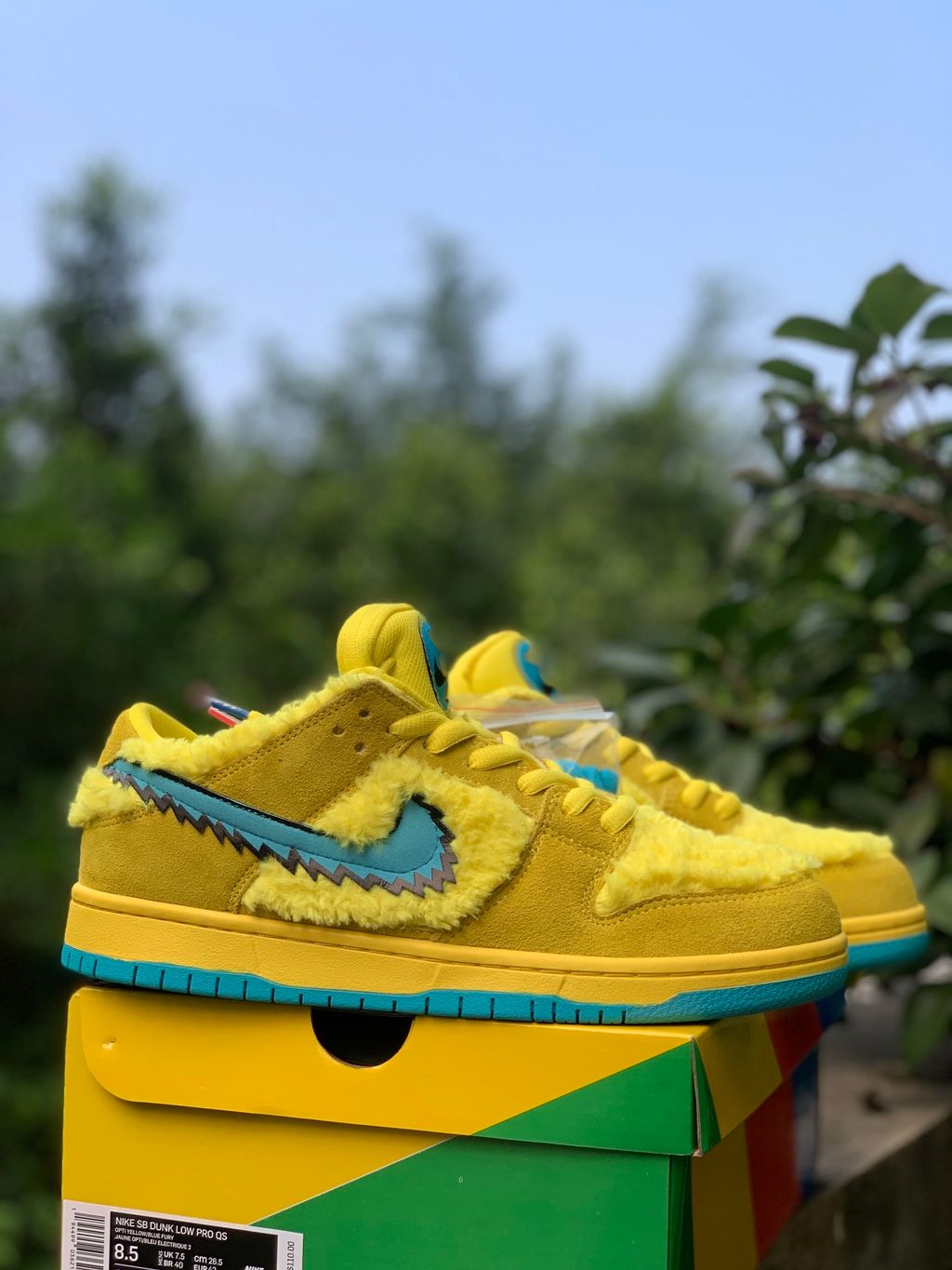 image_6D20856D-5A05-427E-9591-43442003C422_1772628779