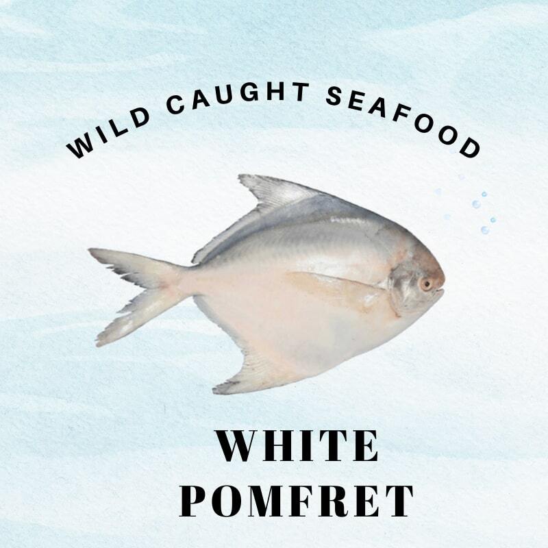 white pomfret