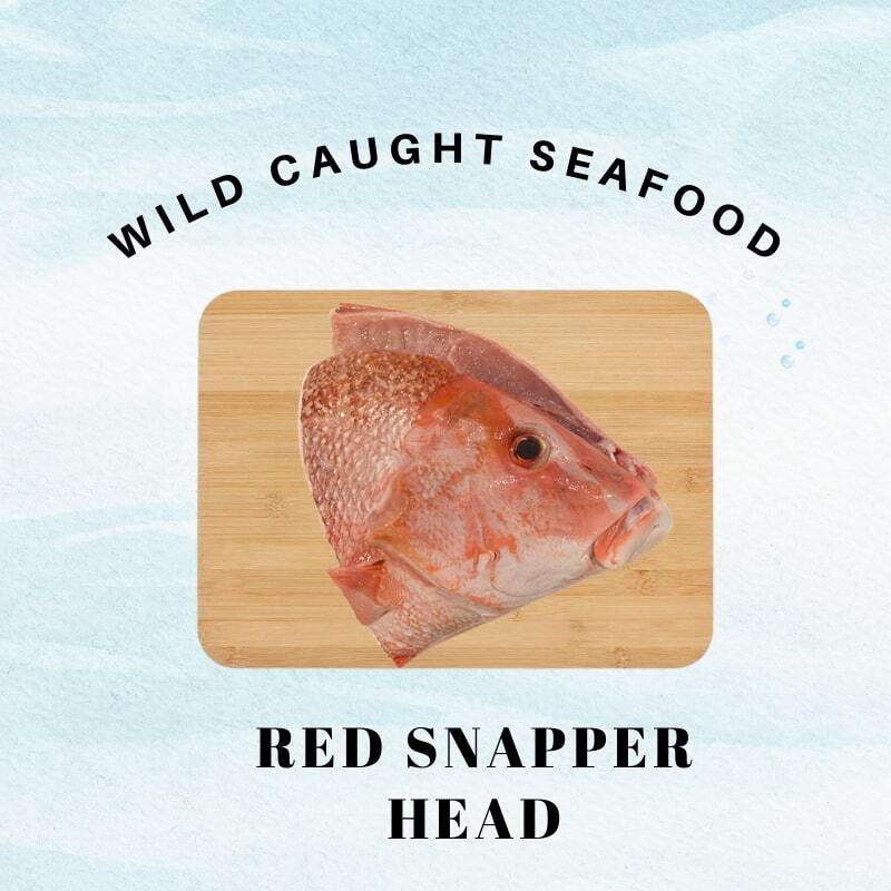 red snapper head