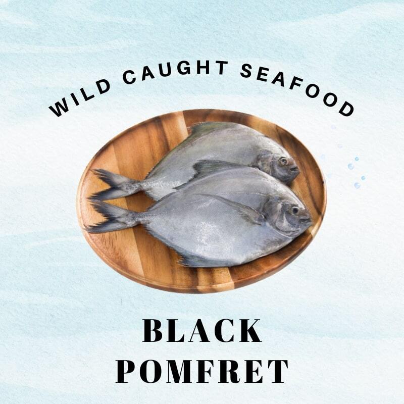 black pomfret