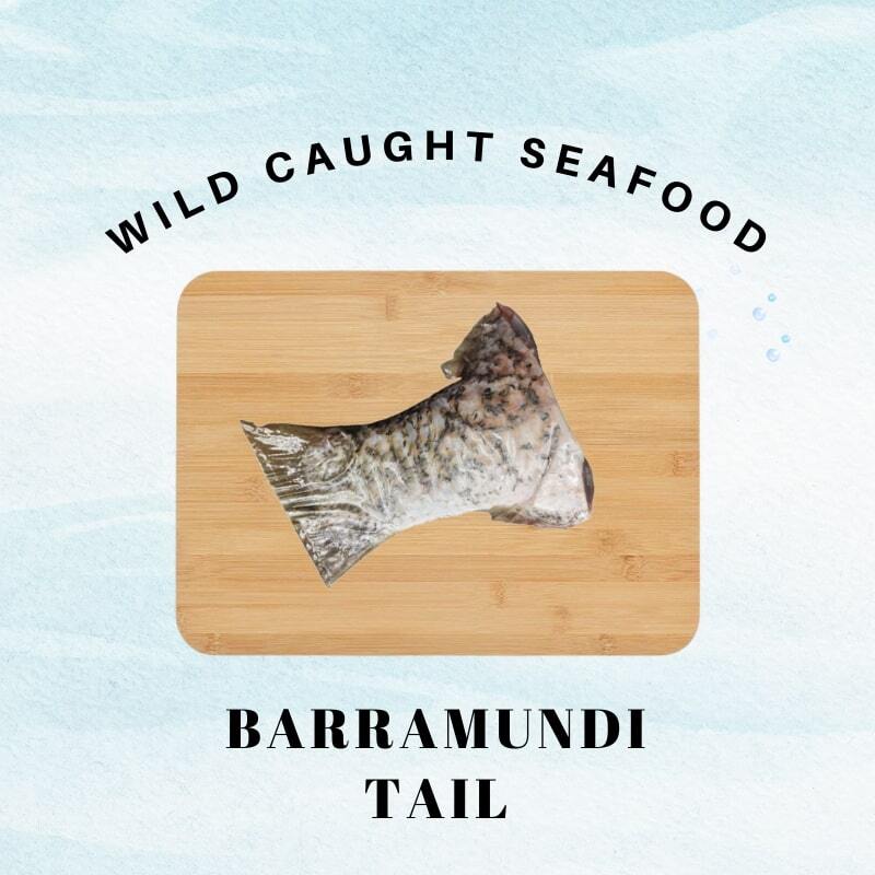 barramundi tail