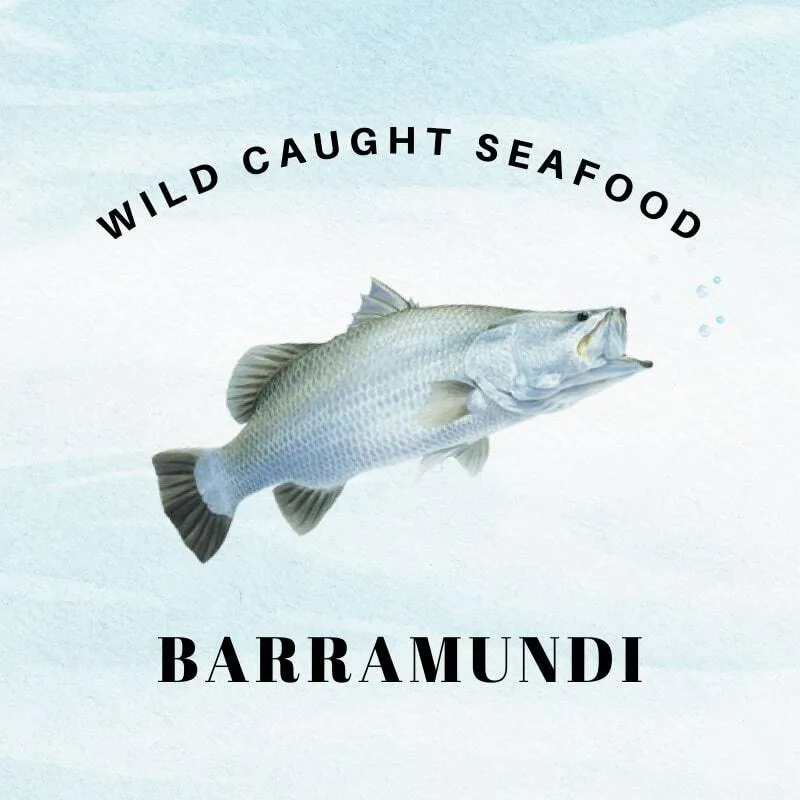 Barramundi