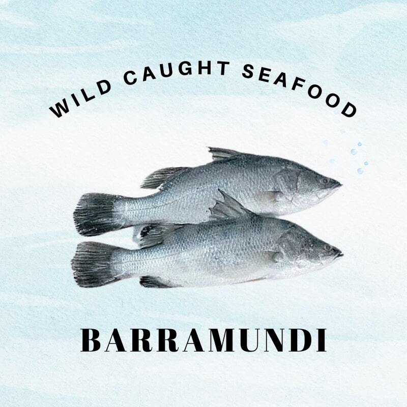 barramundi2