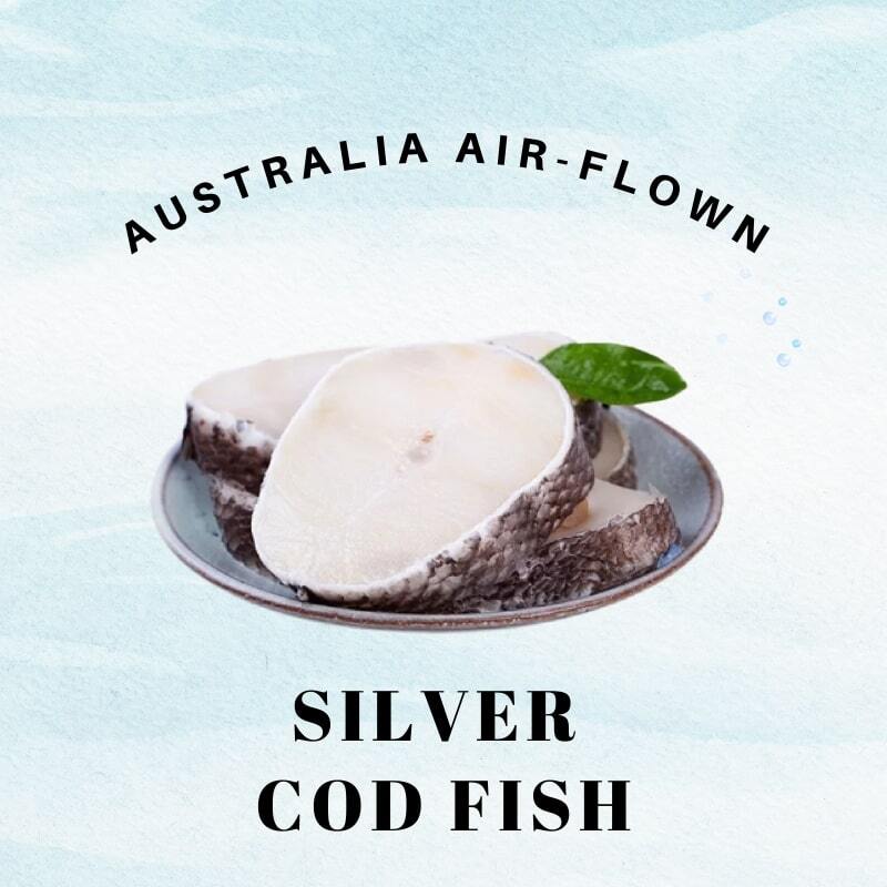 silver cod fish