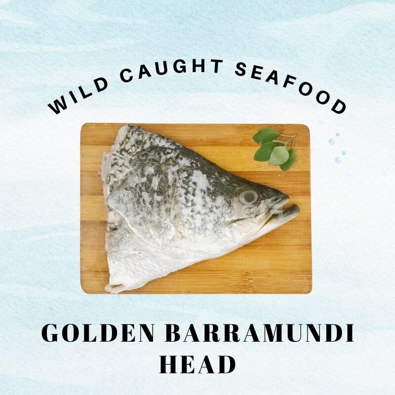 golden barramundi head