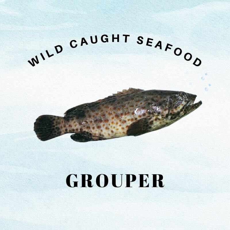 grouper