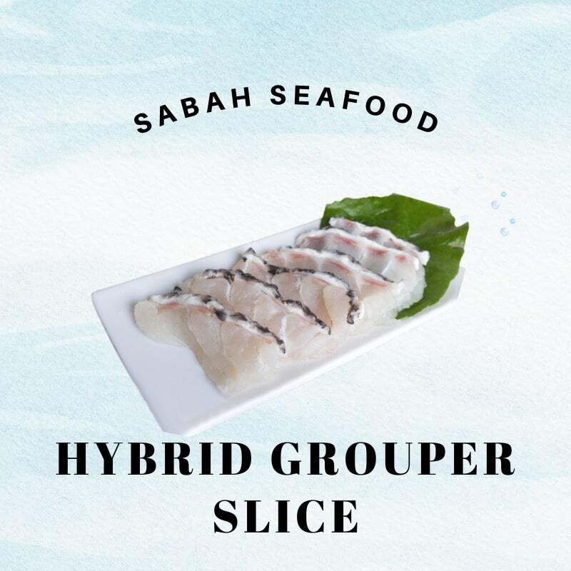 hybrid grouper slice