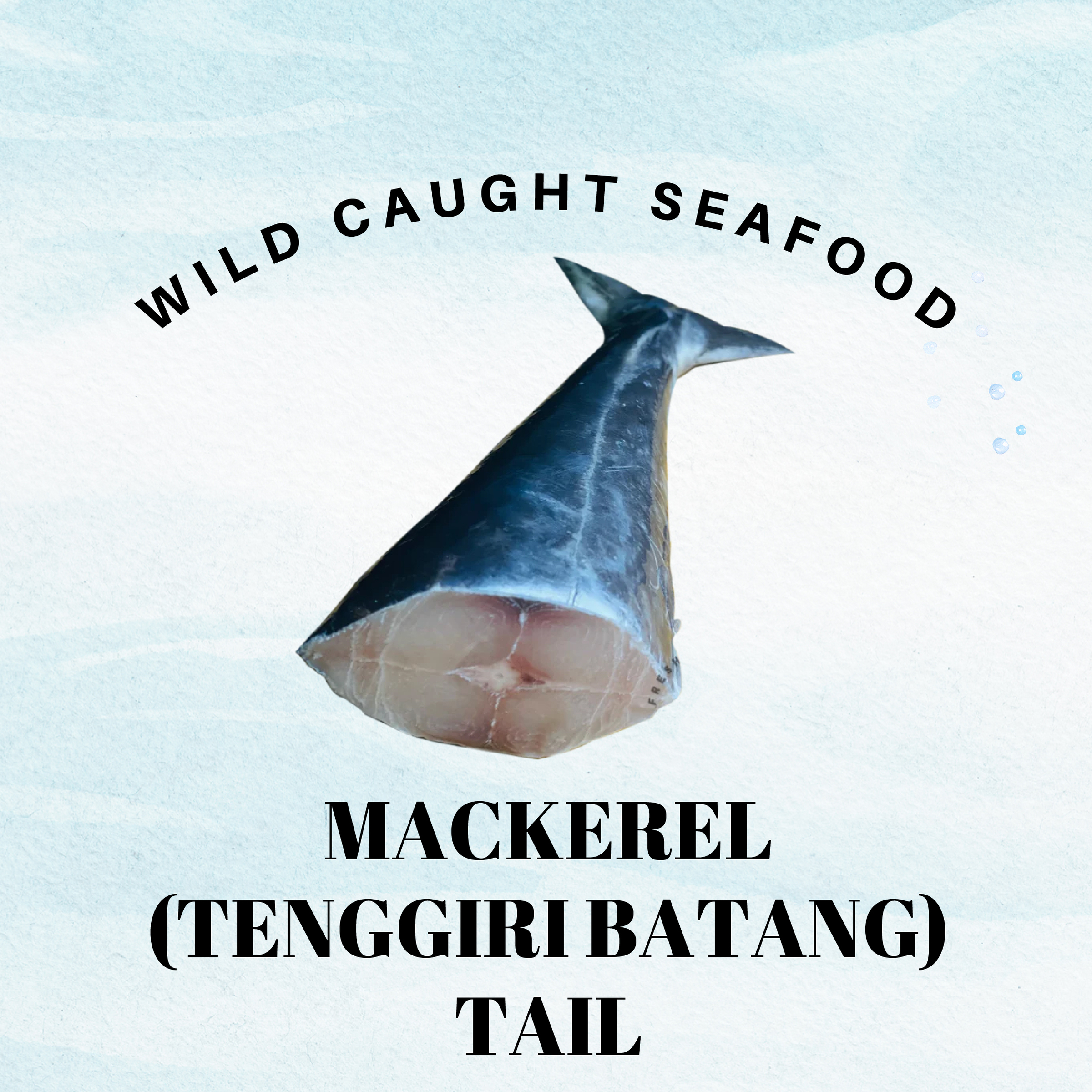 Fish Photo2_MAckerel - Tenggiri Batang Tail