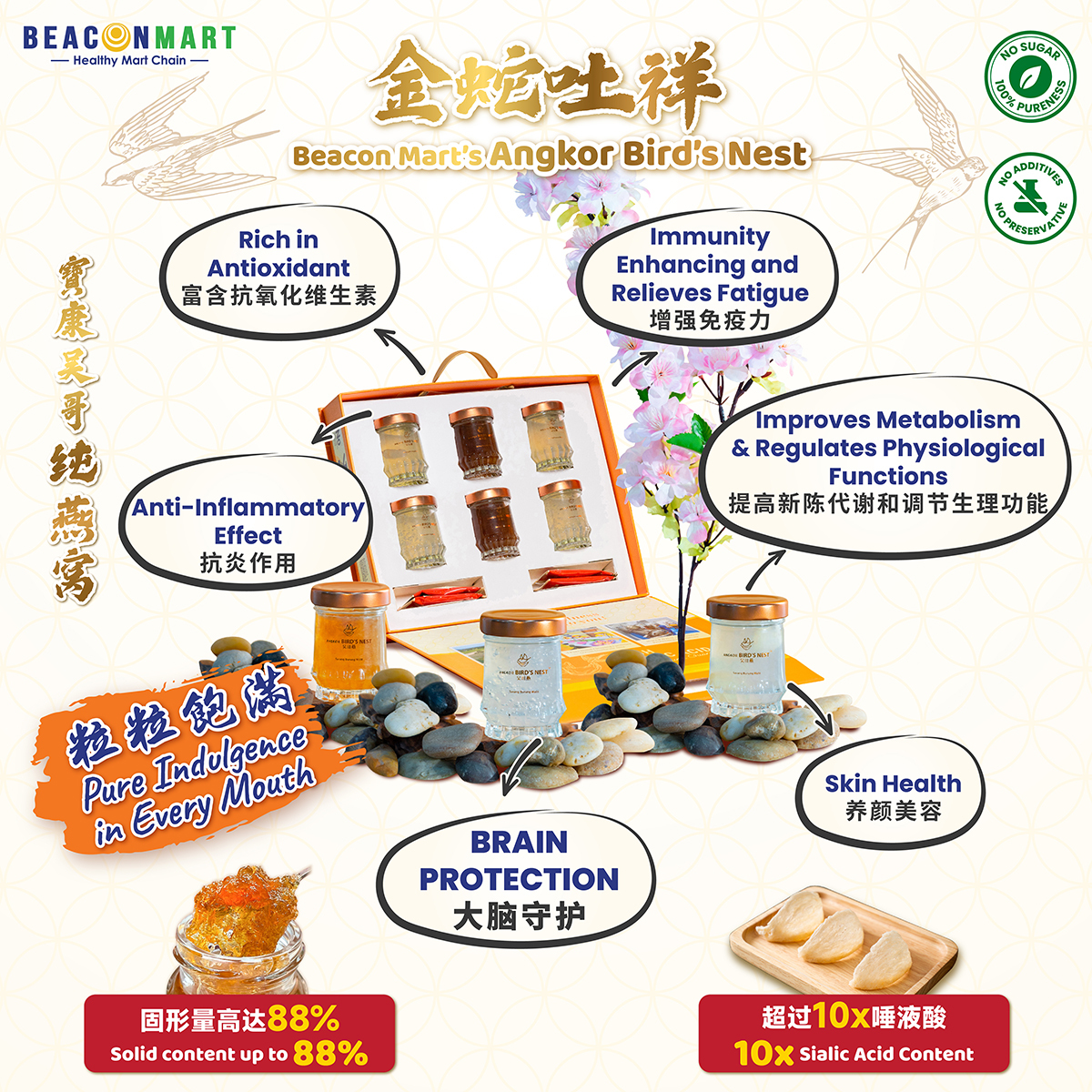 Bird Nest Package_Square