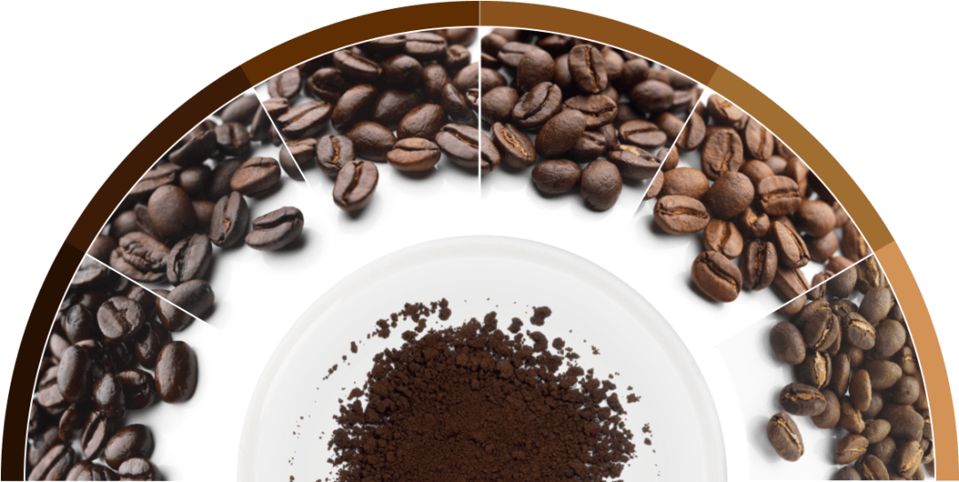 來看看咖啡裡的主要成分有哪些？