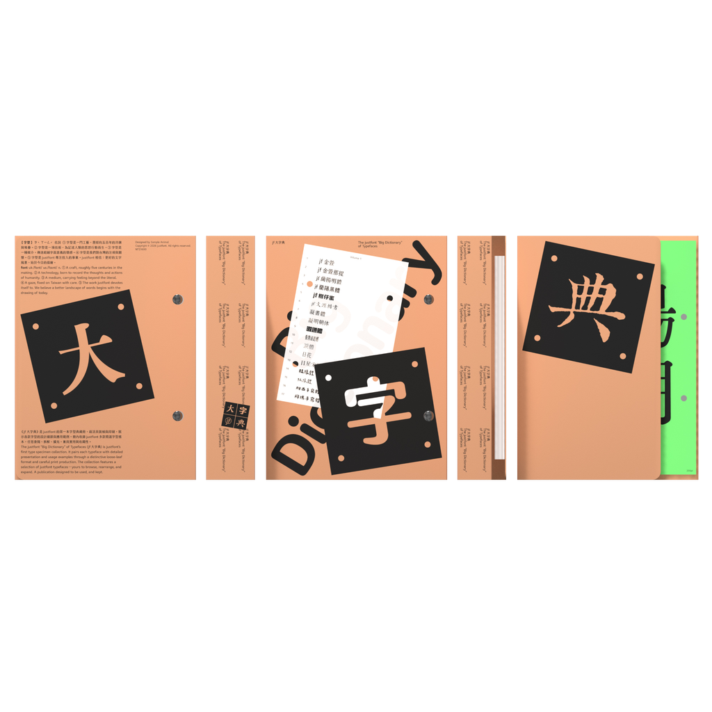 大字典6