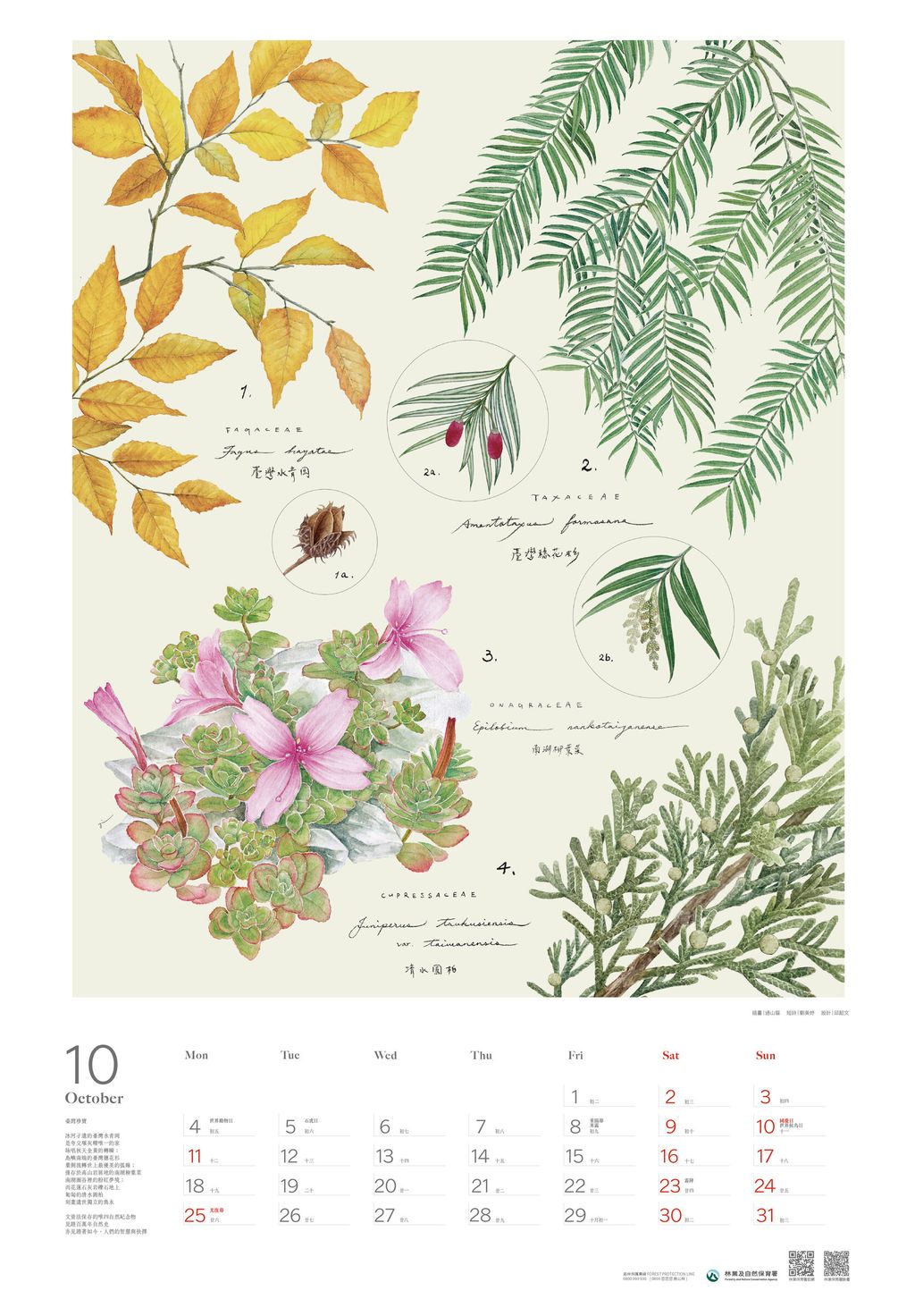 10月-臺灣珍寶_(過山貓)