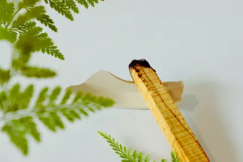 palo-santo-wood-stick