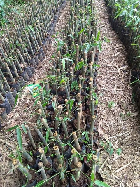 278857421_4348461805257123_4821716015694206715_n