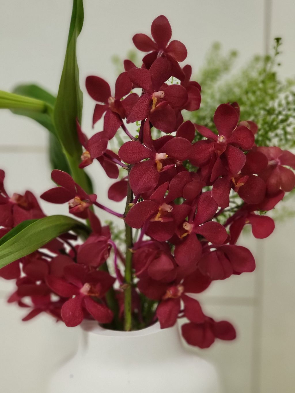 Red Mokara Bouquets With Handmate Ceramic Vase