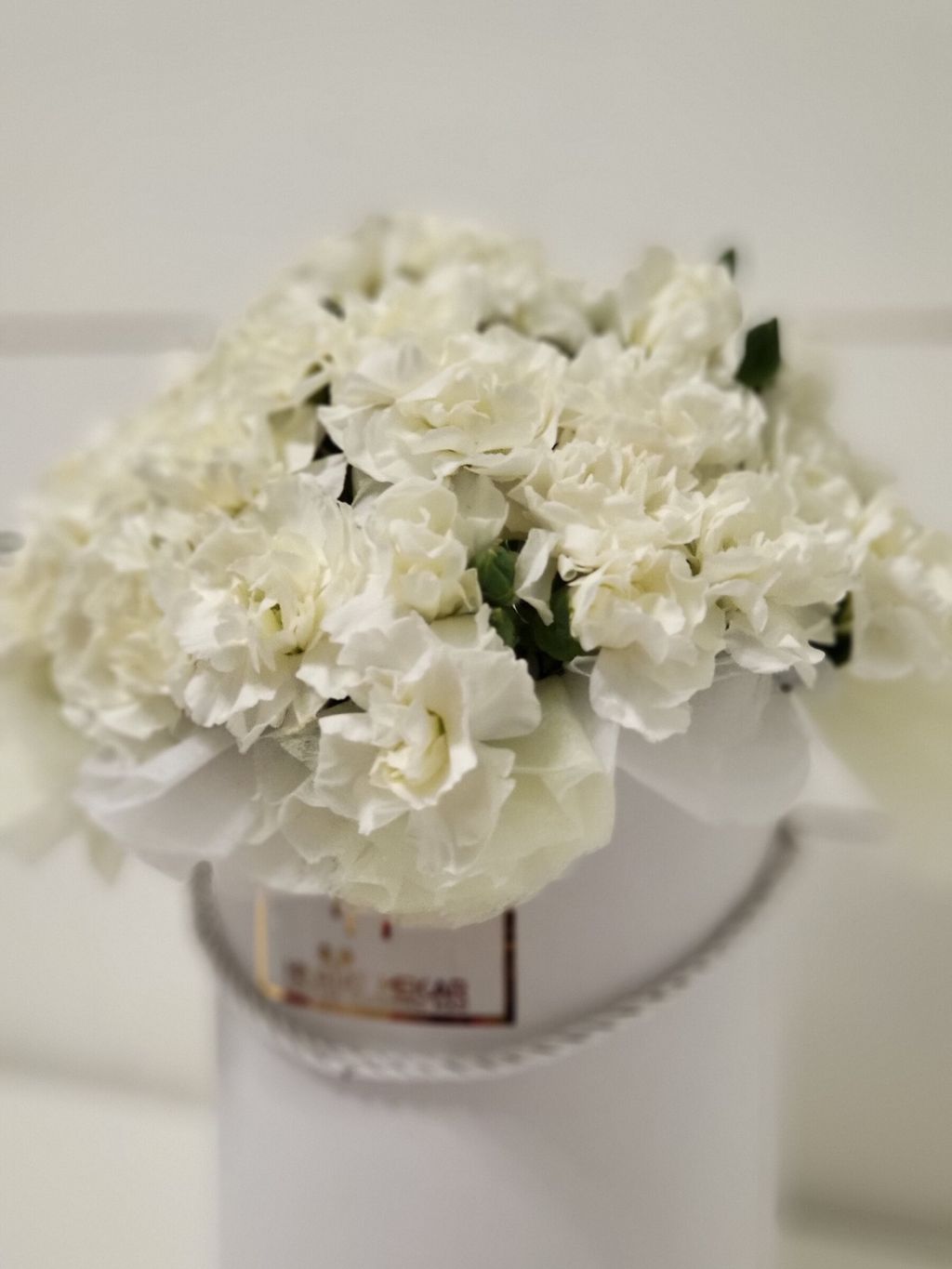 Spray Carnation Flower Bouquets