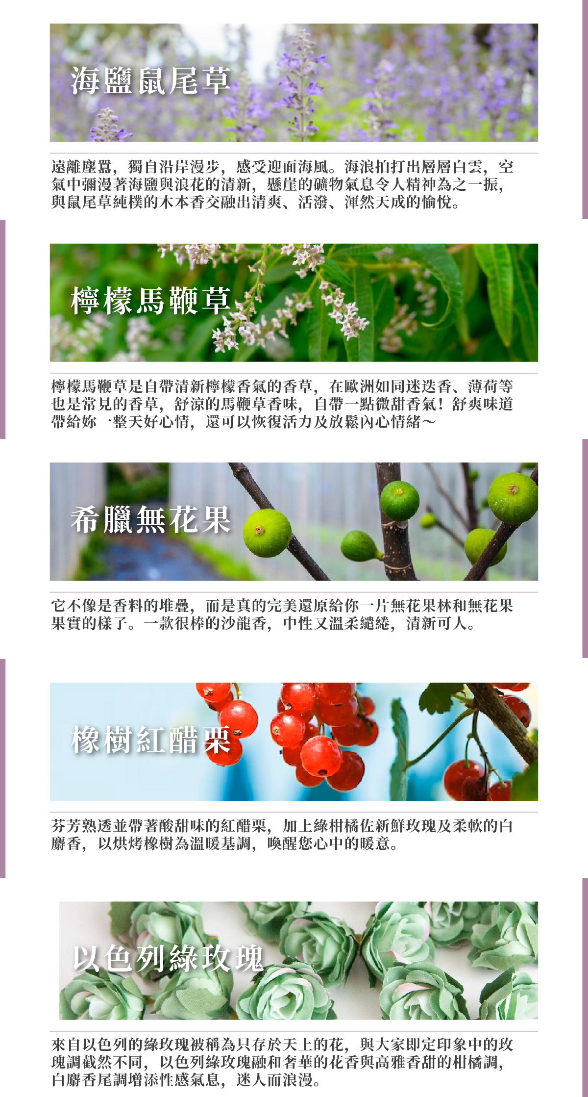 香氛袋_補充瓶