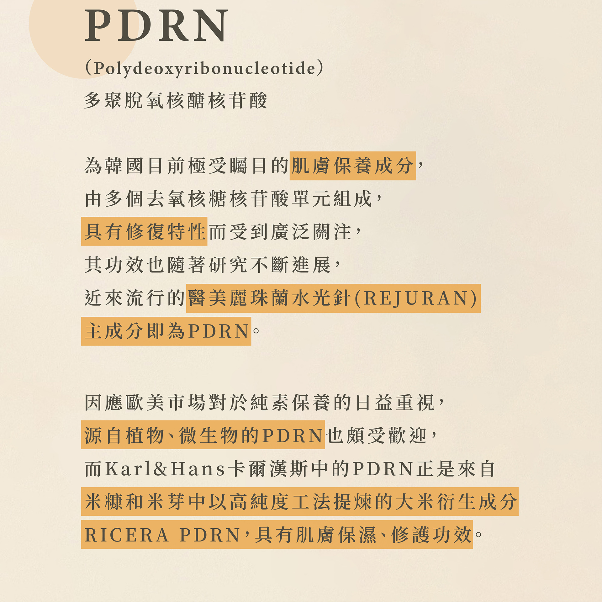 05-3 PDRN_工作區域 1 複本