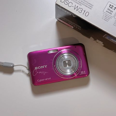 f9506bcf-1a94-4d07-bbbe-f783871bdec8
