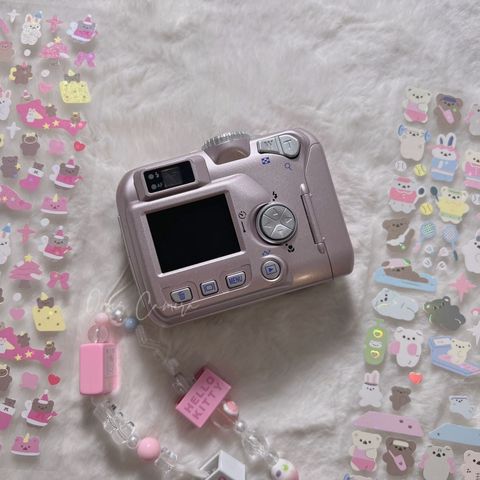 Nikon Coolpix 2100 Super Rare Pink – Ones Studio