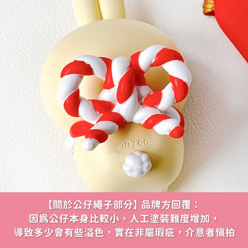 塗裝說明