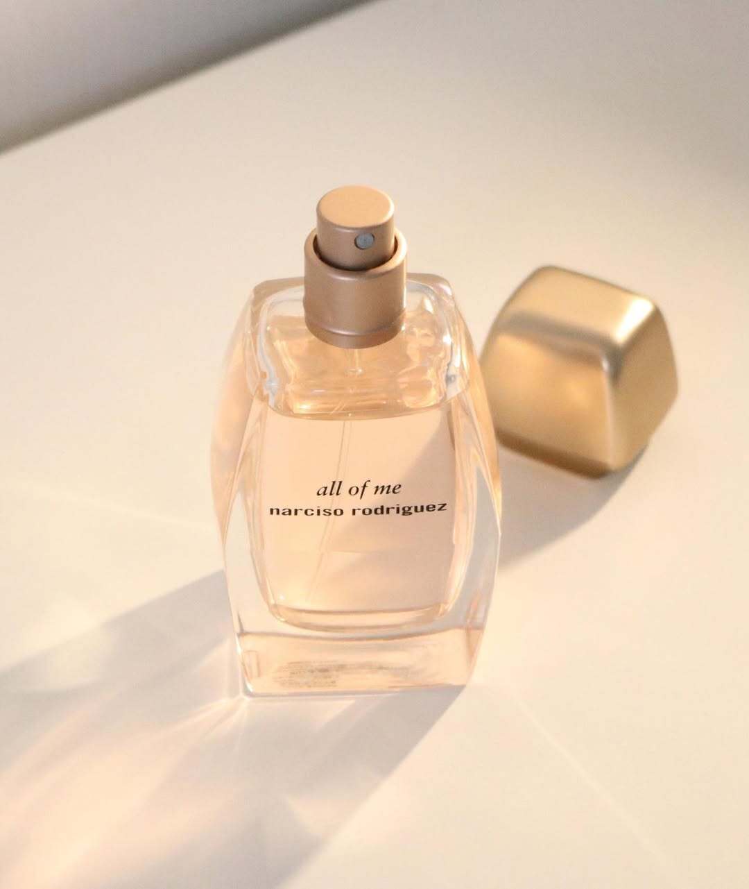 SaveClip.App_372557708_309448511632943_6736280419496866314_n