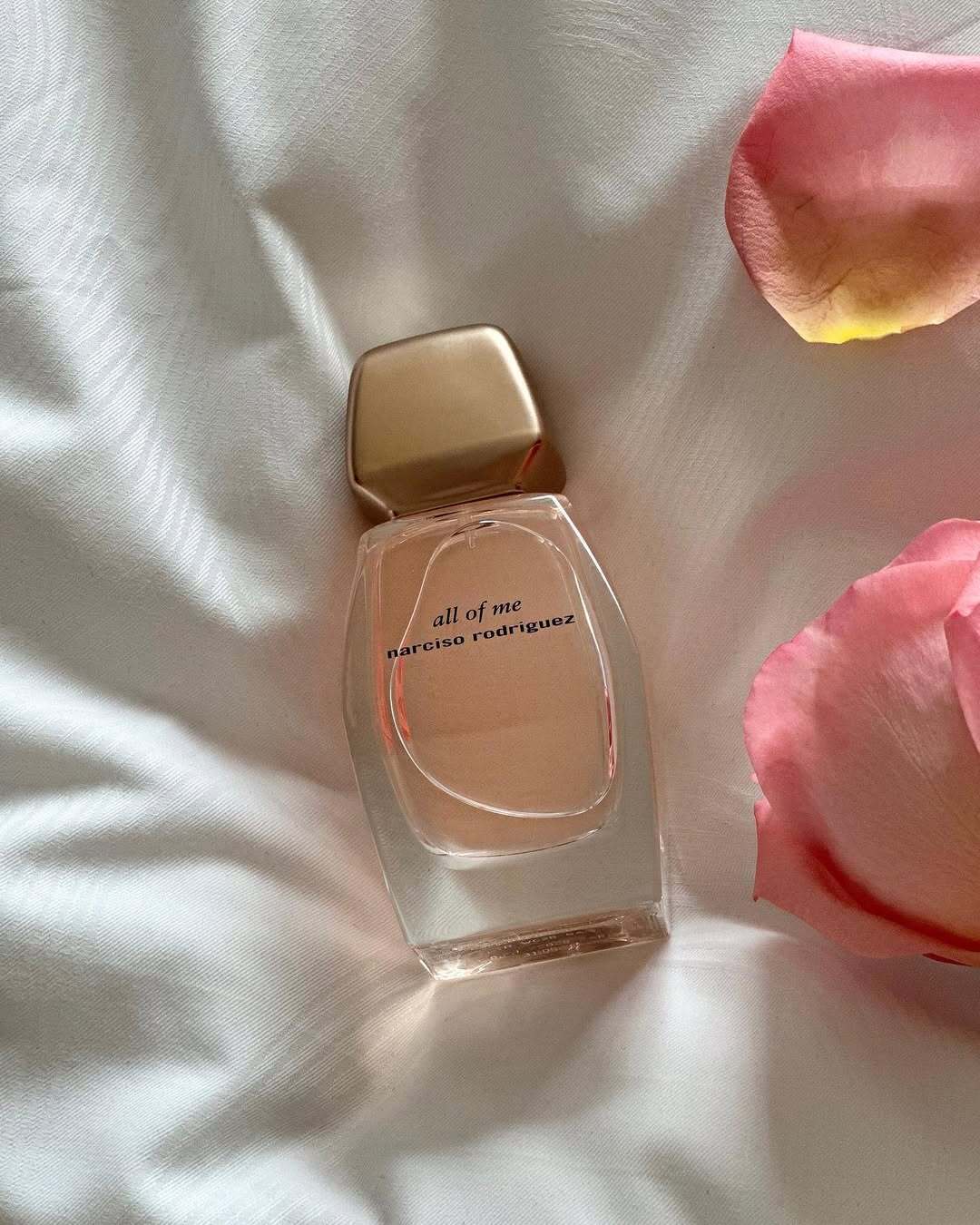 SaveClip.App_373124744_1040529857106754_3075034561526206870_n