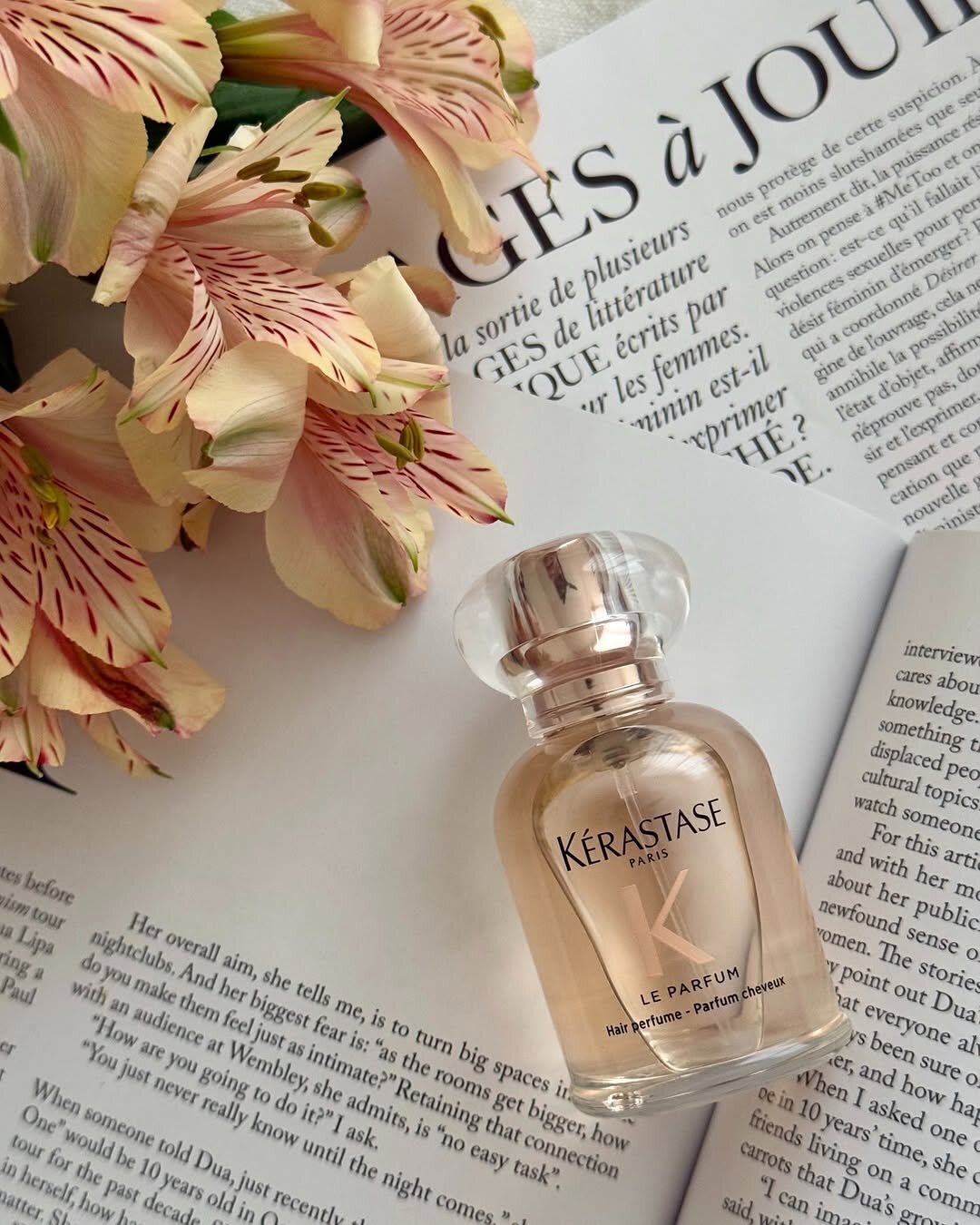 SaveClip.App_581257678_18547055245058318_9137611128673604758_n