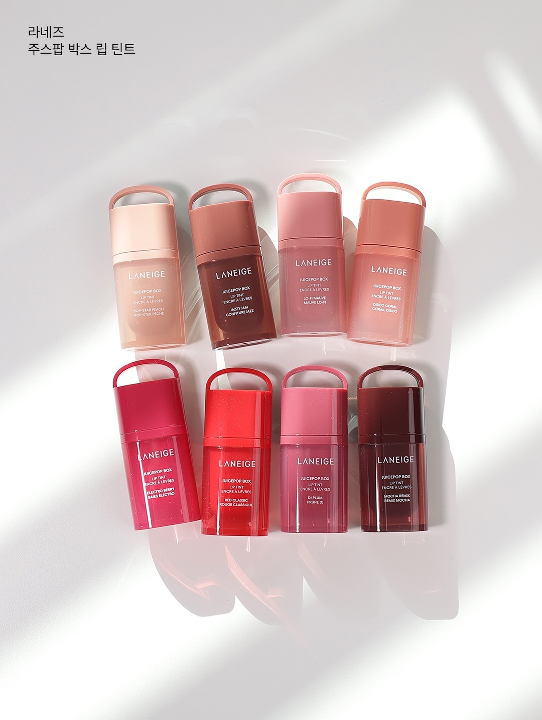 SaveClip.App_641212558_18401576980182126_8343867125101834189_n