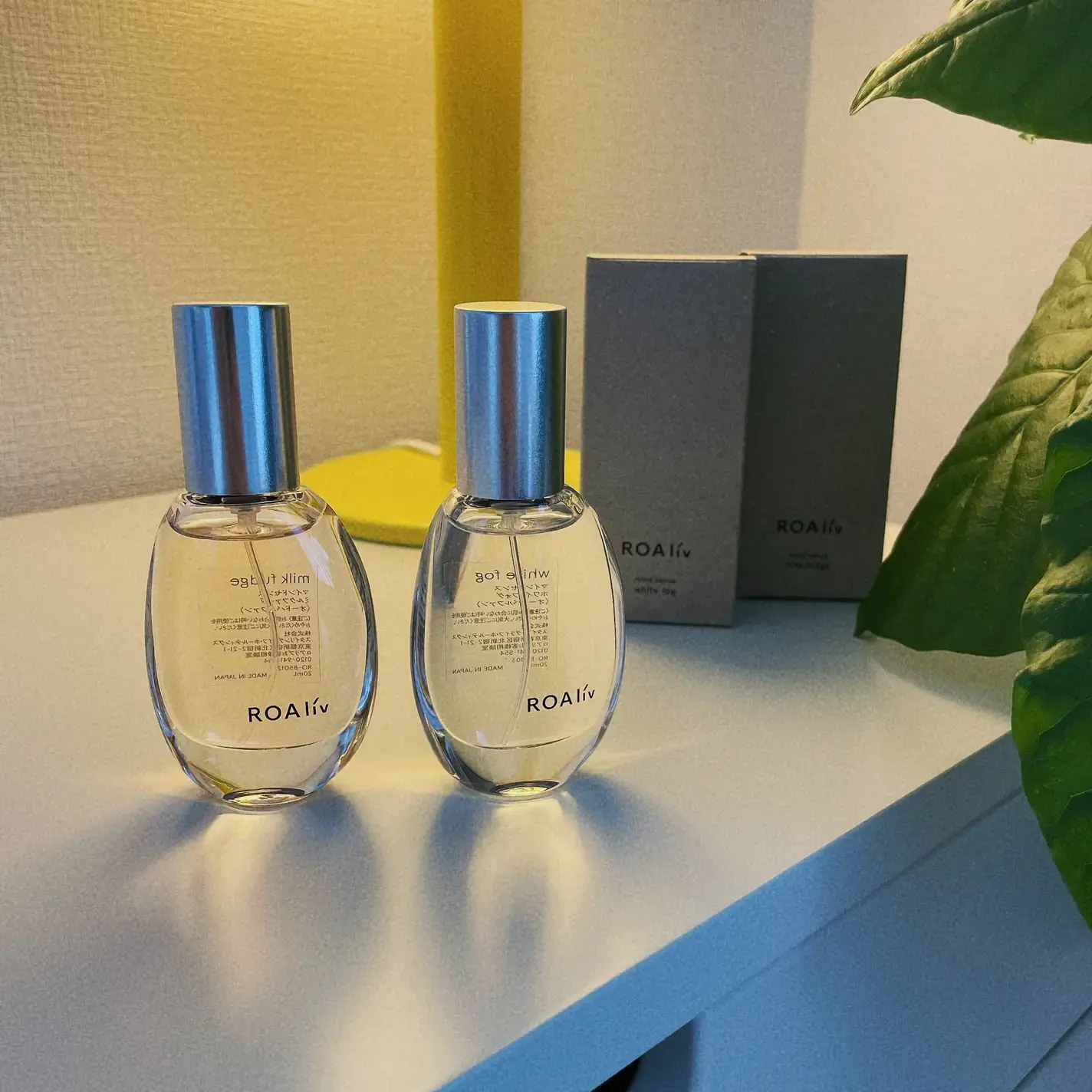 e82f5f522ed3fddf4bf92458-1728169243