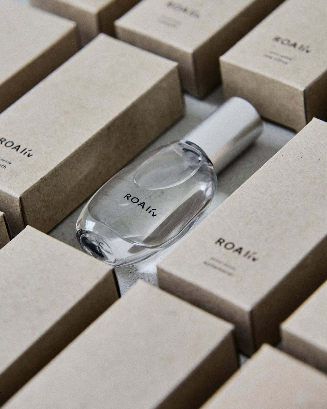 SaveClip.App_499240432_18127551685426870_9215699715168547247_n