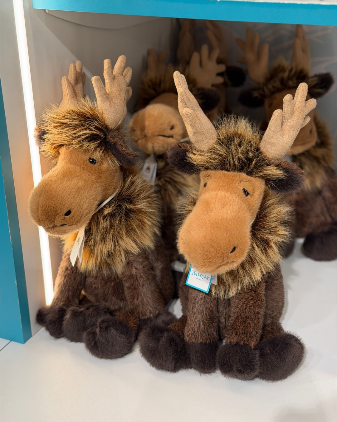 moose00