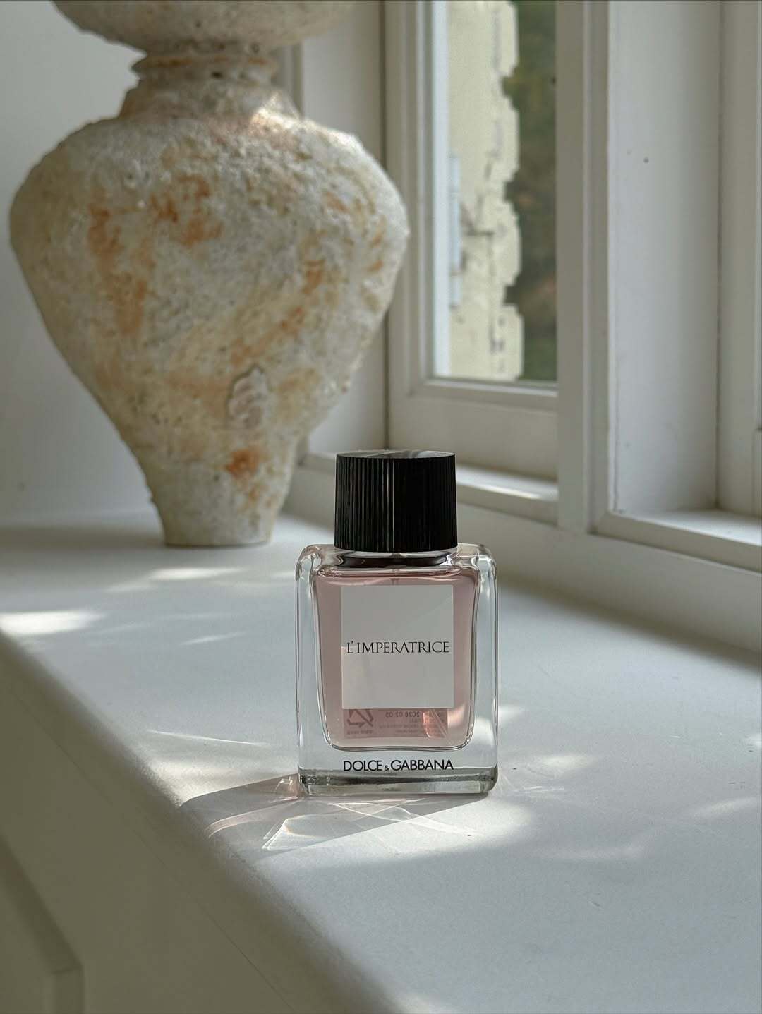 SaveClip.App_572720144_18506023711069501_4017824154144041742_n