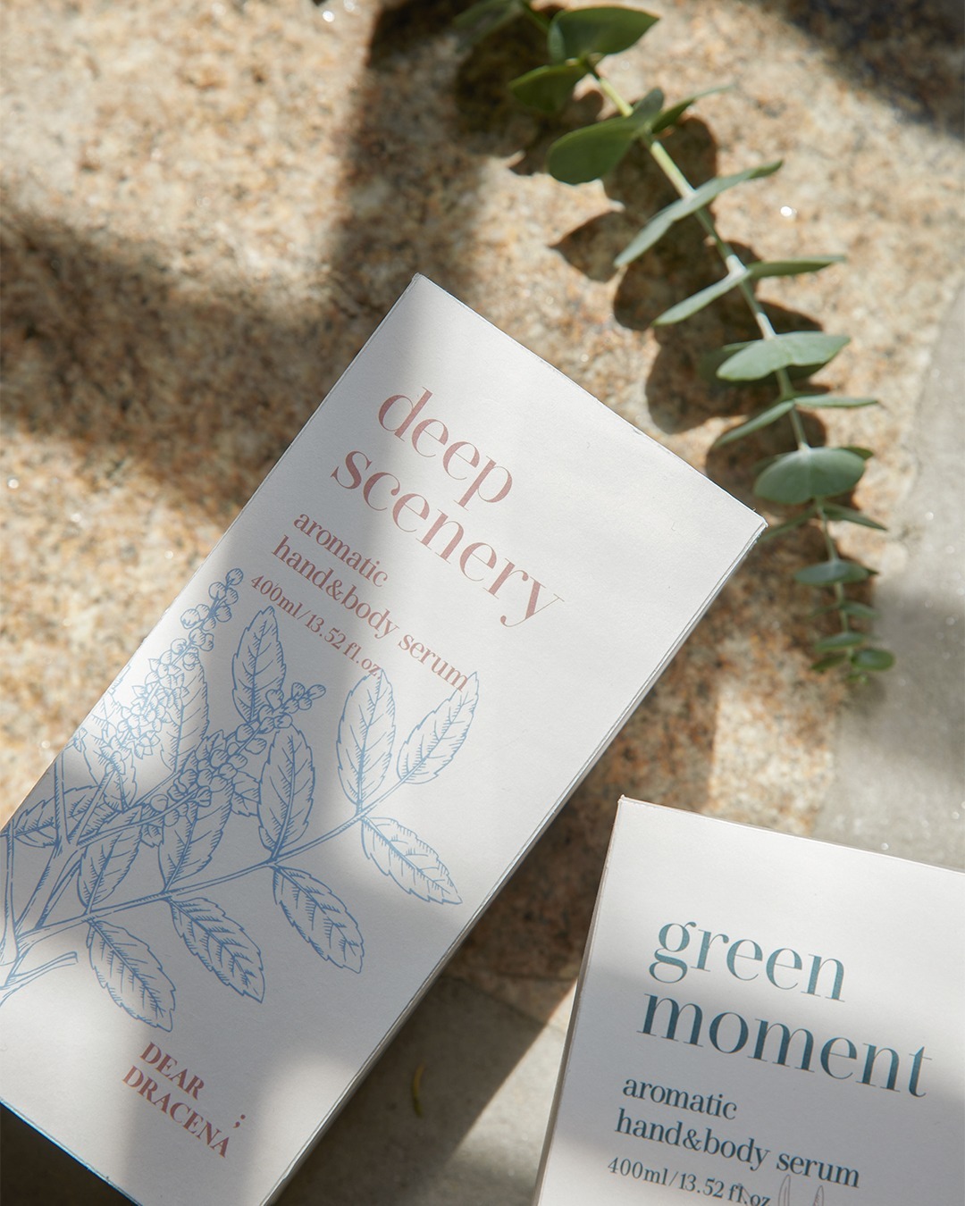 SaveClip.App_570180602_1278588470955935_4451221318637095279_n